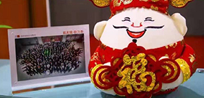 福祿壽喜報道，拓樸設(shè)計給您拜年啦！